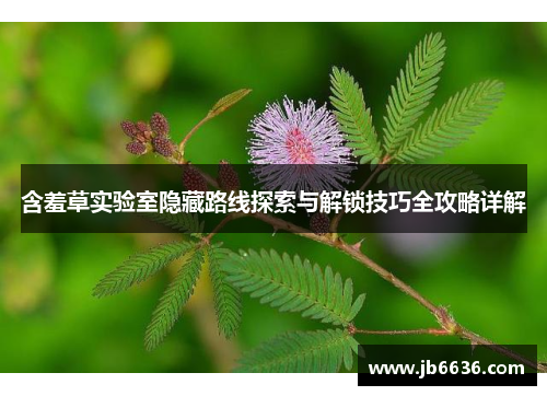 含羞草实验室隐藏路线探索与解锁技巧全攻略详解