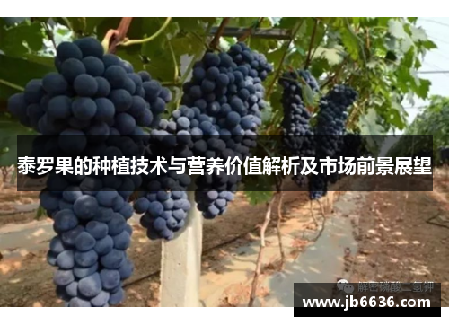 泰罗果的种植技术与营养价值解析及市场前景展望